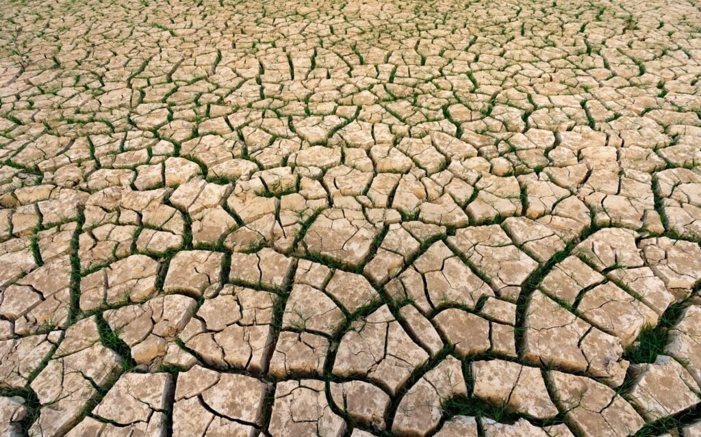 Uma terra seca e rachada com manchas de grama, ilustrando a seca e as mudanças climáticas.